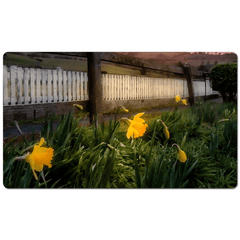 Desk Mat - Daffodils and Spring Sunrise, County Clare, Ireland - James A. Truett - Moods of Ireland - Irish Art