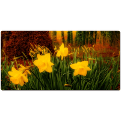Desk Mat - Spring Daffodils at Coole Park, County Galway, Ireland - James A. Truett - Moods of Ireland - Irish Art