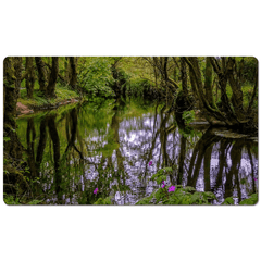 Desk Mat - Streamstown River Reflections, County Galway - James A. Truett - Moods of Ireland - Irish Art