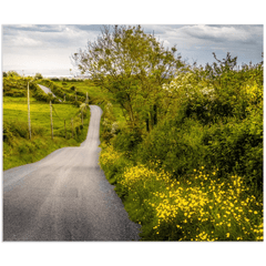 Print - Road through Irish Countryside, County Clare - James A. Truett - Moods of Ireland - Irish Art