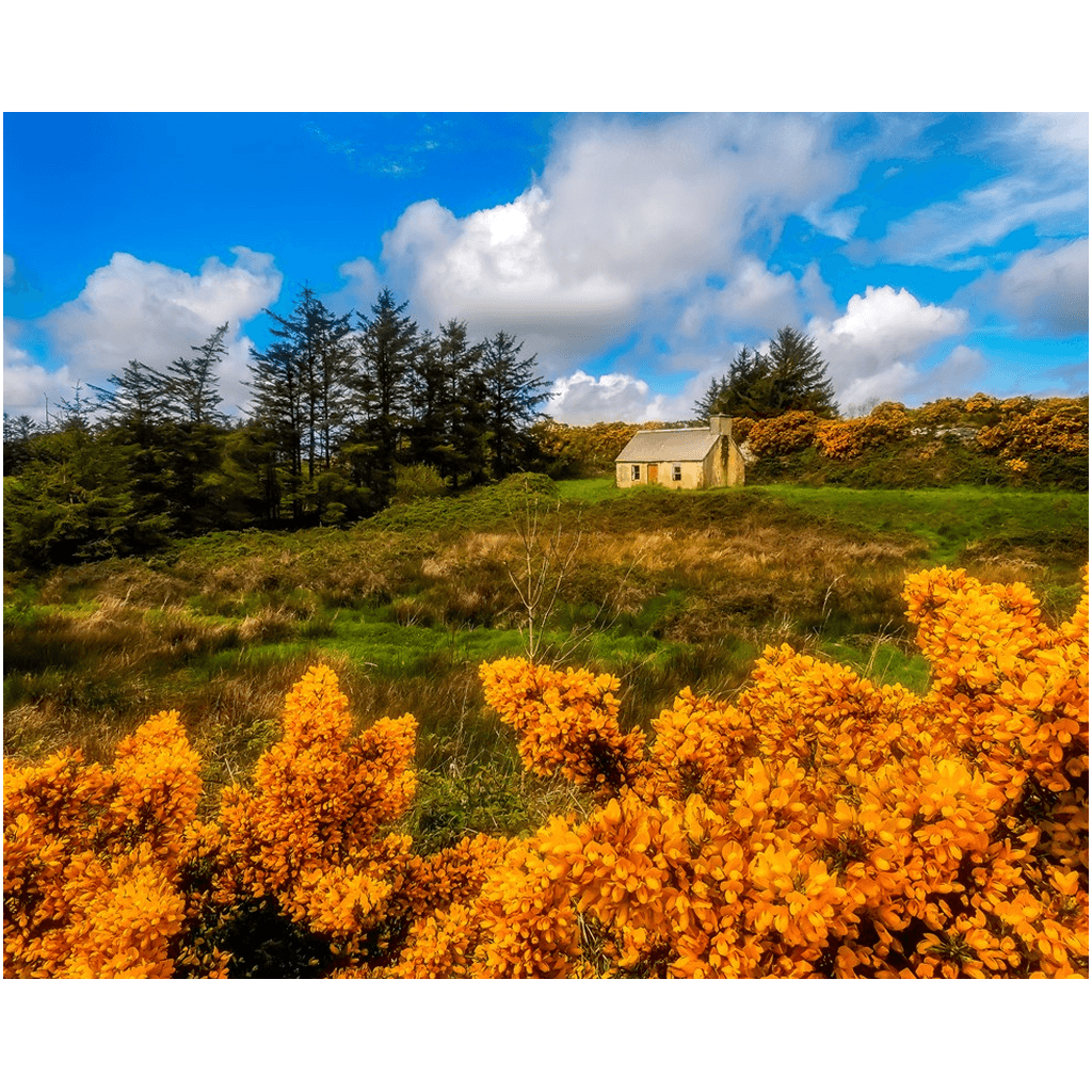 Print - Irish Cottage in Spring, County Clare, Ireland - James A. Truett - Moods of Ireland - Irish Art