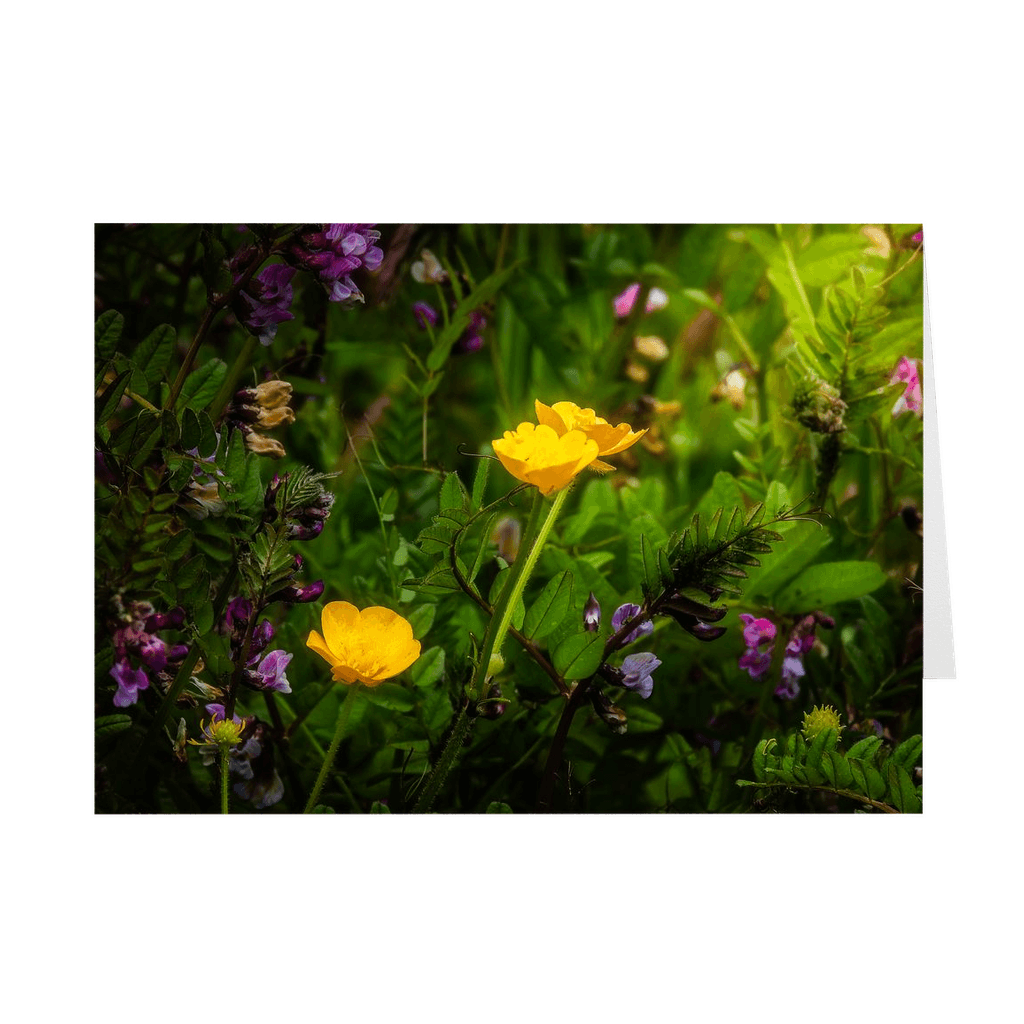 Folded Note Cards - Buttercups and other Wildflowers, County Clare - James A. Truett - Moods of Ireland - Irish Art