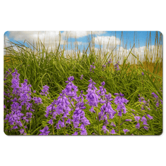 Desk Mat - Ballycorick Bluebells - James A. Truett - Moods of Ireland - Irish Art