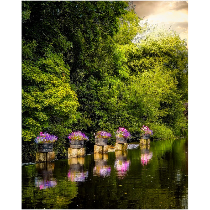 Print - Sixmilebridge Weir with Flowers, County Clare - James A. Truett - Moods of Ireland - Irish Art