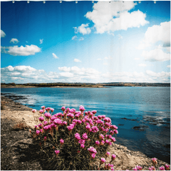 Shower Curtain - Sea Pinks along Ireland's Shannon Estuary - James A. Truett - Moods of Ireland - Irish Art