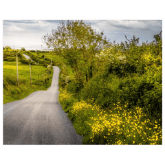 Print - Road through Irish Countryside, County Clare - James A. Truett - Moods of Ireland - Irish Art