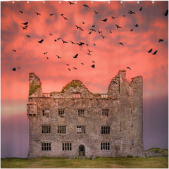 Shower Curtain - Birds over Leamaneh Castle, County Clare - James A. Truett - Moods of Ireland - Irish Art