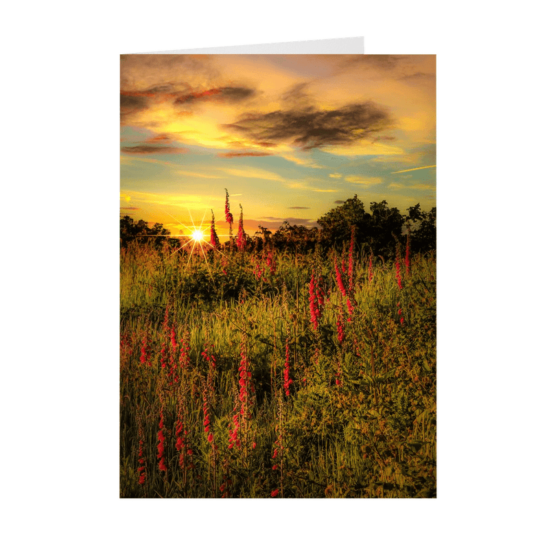 Folded Note Cards - Fairy Fingers at Sunrise, County Clare - James A. Truett - Moods of Ireland - Irish Art