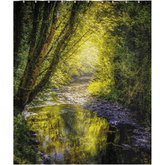 Shower Curtain - Sunrays through Canopy over Owenslieve River, County Clare - James A. Truett - Moods of Ireland - Irish Art