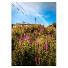 Folded Note Cards - County Clare Rainbow over Roadside Wildflowers - James A. Truett - Moods of Ireland - Irish Art