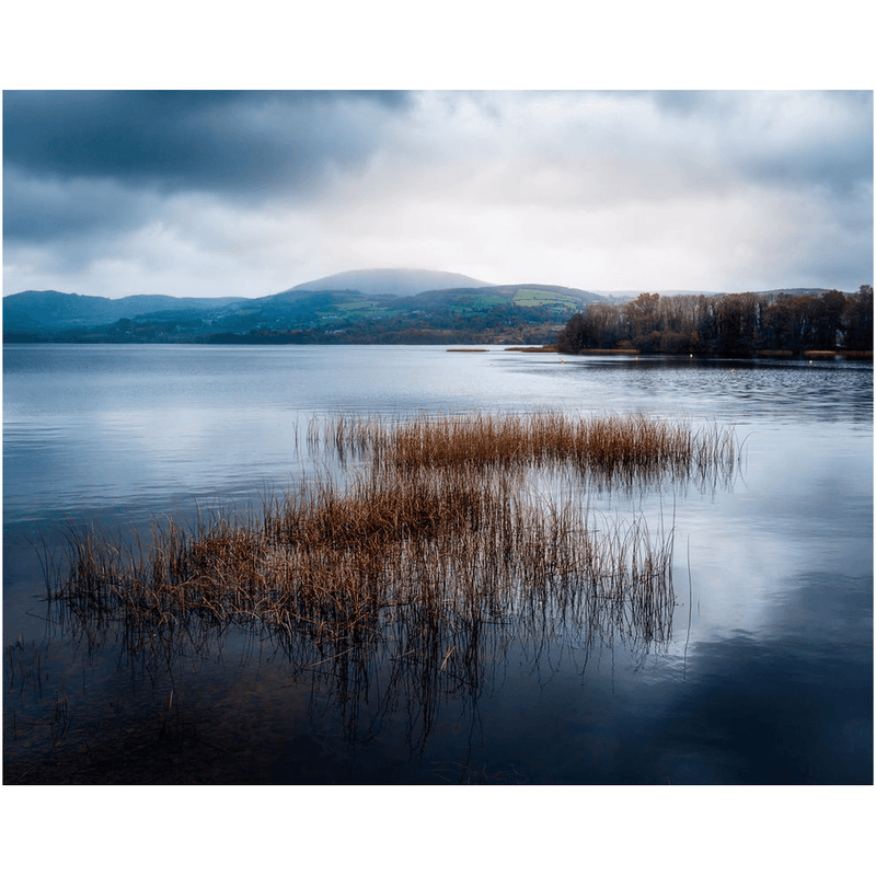 Print - Reeds and Waters of Lough Derg, Ireland - Moods of Ireland