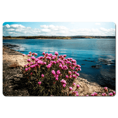 Desk Mat - Sea Pinks along Ireland's Shannon Estuary - James A. Truett - Moods of Ireland - Irish Art