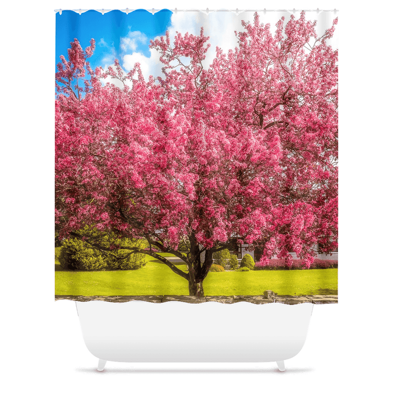 Shower Curtain - Cherry Blossom Explosion, Ennis, County Clare - James A. Truett - Moods of Ireland - Irish Art