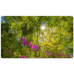 Desk Mat - Sun rays and Rhododendrons in Paradise, County Clare - James A. Truett - Moods of Ireland - Irish Art