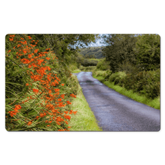Desk Mat - Orange Wildflower Cascade along Irish Country Road - James A. Truett - Moods of Ireland - Irish Art