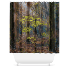 Shower Curtain - Misty Irish Spring Forest in Coole Park, County Galway - James A. Truett - Moods of Ireland - Irish Art