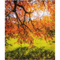 Shower Curtain - Under the Autograph Tree at Coole Park, County Galway - James A. Truett - Moods of Ireland - Irish Art