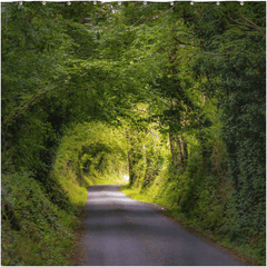 Shower Curtain - Green Tunnel, County Clare, Ireland - James A. Truett - Moods of Ireland - Irish Art