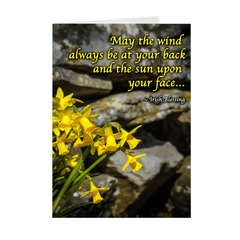 Folded Note Cards - Irish Blessing with Daffodils and Stone Wall - James A. Truett - Moods of Ireland - Irish Art