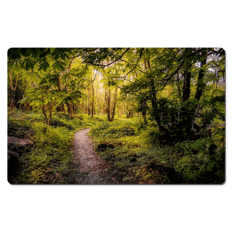 Desk Mat - Path in the Faerie Forest at Ballylee, County Galway - James A. Truett - Moods of Ireland - Irish Art