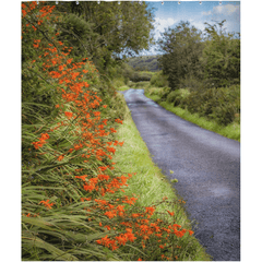 Shower Curtain - Orange Wildflower Cascade along Irish Country Road - James A. Truett - Moods of Ireland - Irish Art