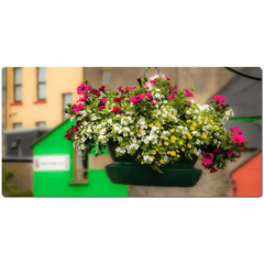 Desk Mat - Hanging Basket in Ennistymon, County Clare - James A. Truett - Moods of Ireland - Irish Art