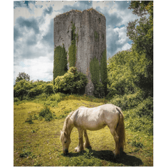 Shower Curtain - Ballygriffy Castle, County Clare - James A. Truett - Moods of Ireland - Irish Art