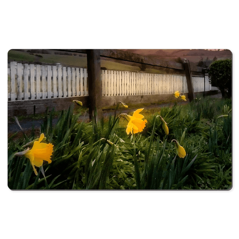 Desk Mat - Daffodils and Spring Sunrise, County Clare, Ireland - James A. Truett - Moods of Ireland - Irish Art