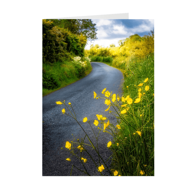 Folded Note Cards - Buttercups on the Road to Lavalla, County Clare - James A. Truett - Moods of Ireland - Irish Art