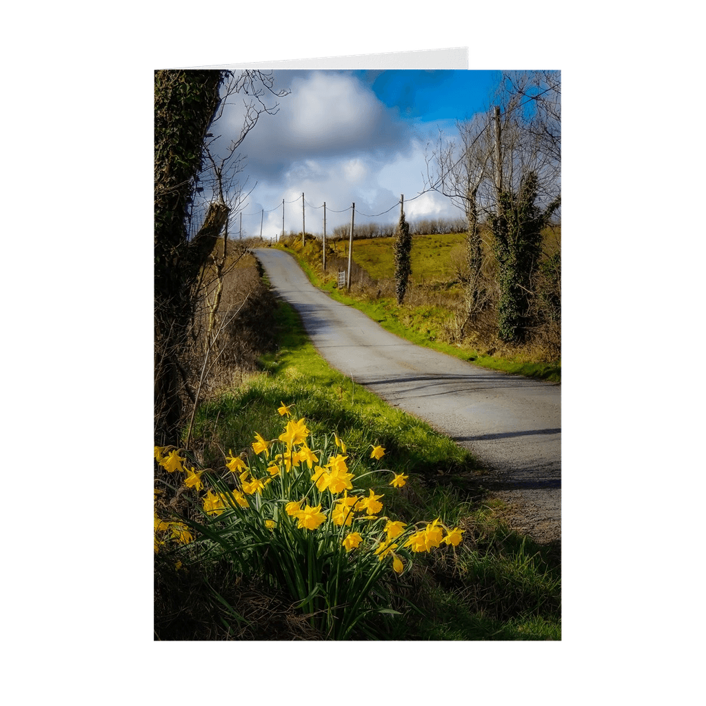 Folded Note Cards - Spring Daffodils under Blue Sky, County Clare - James A. Truett - Moods of Ireland - Irish Art