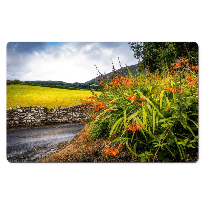 Desk Mat - Wild Montbretia in the County Tipperary Countryside - Moods of Ireland