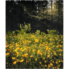 Shower Curtain - Merry Meadow of Buttercups, County Clare - James A. Truett - Moods of Ireland - Irish Art