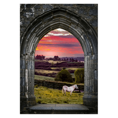 Folded Note Cards - Horse at Sunrise in County Clare - Moods of Ireland