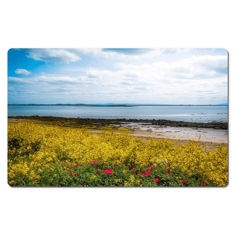 Desk Mat - Summer Wildflowers on Galway Bay - James A. Truett - Moods of Ireland - Irish Art