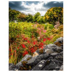 Print - Wildflower Garden, Ballyvaughan, County Clare - Moods of Ireland
