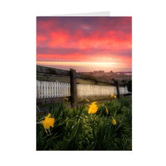 Folded Note Cards - Daffodils and Spring Sunrise, County Clare, Ireland - James A. Truett - Moods of Ireland - Irish Art
