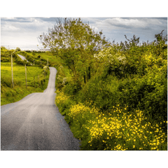Print - Road through Irish Countryside, County Clare - James A. Truett - Moods of Ireland - Irish Art