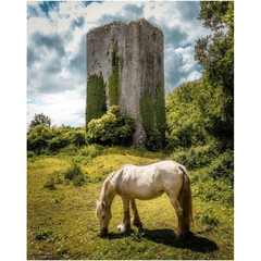 Print - Ballygriffy Castle, County Clare - James A. Truett - Moods of Ireland - Irish Art