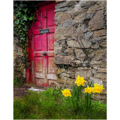 Puzzle - Daffodils Outside Irish Cottage, Kilrush, County Clare - James A. Truett - Moods of Ireland - Irish Art