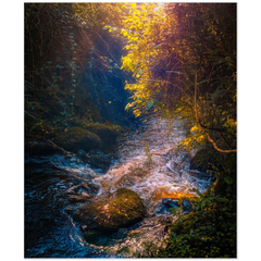 Print - Morning Sun at St. Martin's Well, Ballynacally, County Clare