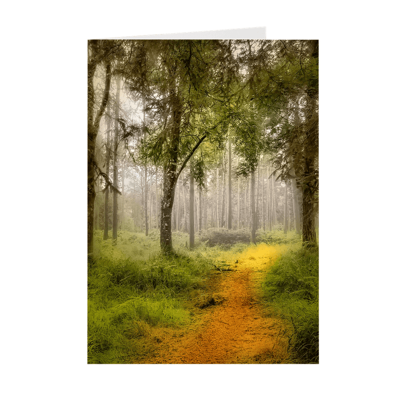 Folded Note Cards - Irish Mist in Portumna Forest Park, County Galway - James A. Truett - Moods of Ireland - Irish Art