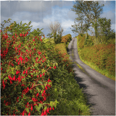 Shower Curtain -Fuchsias Blooming in the Irish Countryside - James A. Truett - Moods of Ireland - Irish Art