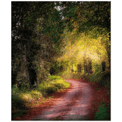 Print - Spots of light on Autumn Path, Clondegad, County Clare - Moods of Ireland