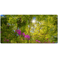 Desk Mat - Sun rays and Rhododendrons in Paradise, County Clare - James A. Truett - Moods of Ireland - Irish Art