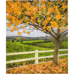 Shower Curtain - Autumn Leaves in Ballynacally, County Clare - James A. Truett - Moods of Ireland - Irish Art