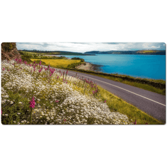 Desk Mat - Field of Blooms along Shannon Estuary, County Clare - James A. Truett - Moods of Ireland - Irish Art