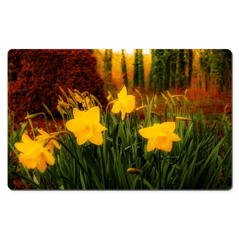 Desk Mat - Spring Daffodils at Coole Park, County Galway, Ireland - James A. Truett - Moods of Ireland - Irish Art