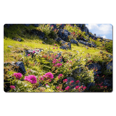 Desk Mat - Burren Wildflowers and Limestone, County Clare - James A. Truett - Moods of Ireland - Irish Art