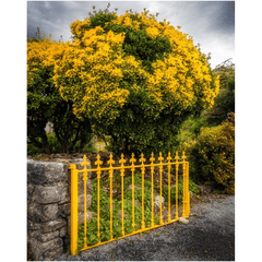 Print - Yellow Gate & Tree, Ballyvaughan, County Clare - Moods of Ireland