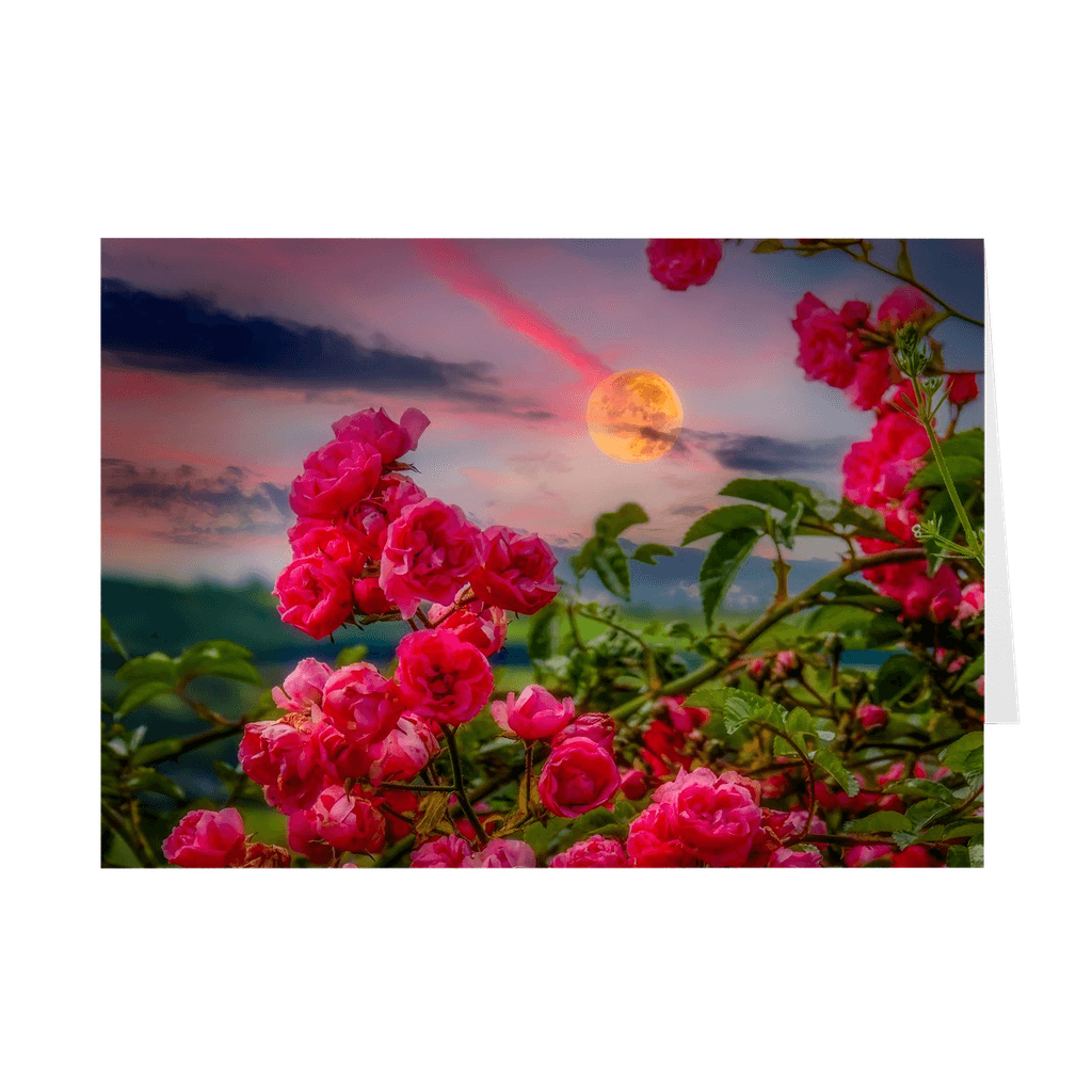 Folded Note Cards - Wild Irish Roses at Dawn, County Clare - James A. Truett - Moods of Ireland - Irish Art